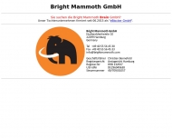 Bild Bright Mammoth Brain GmbH