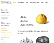 Bild Quagga Media UG (haftungsbeschrnkt)