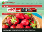 Bild Strawberry EDV Systeme GmbH