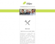 IT Service Ziegler