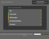 Bild Segway Agent Gieen | Wetzlar
