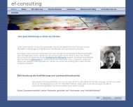 Bild ef-consulting