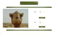 Bild German Site Supervision GmbH