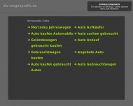 Bild Die Wagenprofis