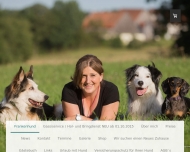 Bild Frankenhund