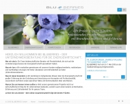 Bild BLUBERRIES GmbH