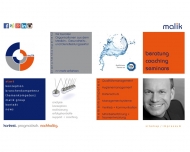 Bild Malik Consulting Group GmbH
