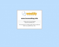 Bild B-Consulting
