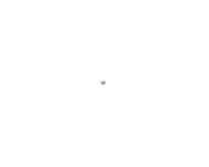 Bild Condensed Ideas