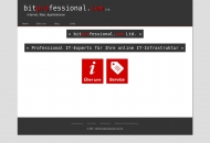 Bild bitprofessional.com Ltd.
