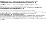 Bild Tobias Dorfer web development