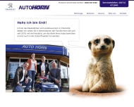 Bild Auto Horn GmbH