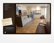 Website Option