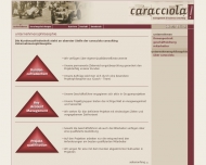 Website CC-Caracciola Consulting