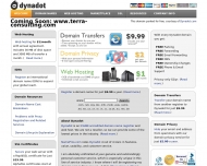 www.terra-consulting.com - Dynadot Parking