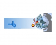 Bild IPN Gesellschaft fr internationale Unternehmensberatung mbH