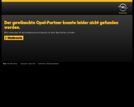 Website Autohaus Jörg-Uwe Hinz