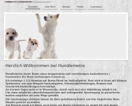 Bild Hundleinelos