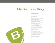Bild Baris Consulting GmbH