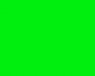Bild Agentur VOLLES PROGRAMM OHG