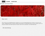 Bild Meteva Medizintechnik GmbH
