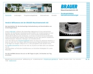 Bild BRAUER Maschinentechnik AG