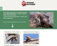 Bild Marder Ratgeber