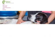 Bild Aktiver auf den Pfoten - Mobile Tierphysiotherapie