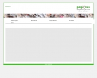 Bild Papyrus Wertstoff Service GmbH