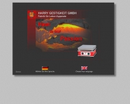 Bild Harry Gestigkeit GmbH