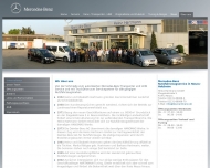 Website Heinz Hartmann