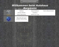 Bild Borgmann GmbH