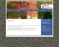 Bild Steinmetz Hans