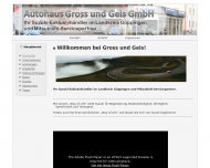 Bild Autohaus Gross + Geis GmbH