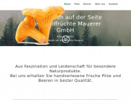 Bild Waldfrchte Mauerer GmbH