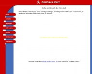 Website Autohaus Stern