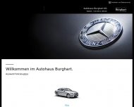 Bild Mercedes-Benz Servicepartner