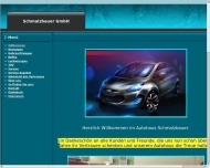 Bild Schmalzbauer GmbH Autohaus/Lackierung/Unfallinst.