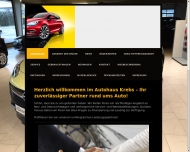 Bild Autovermietung Krebs