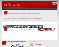 Bild Auto Hgerl GmbH