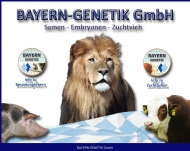 Bild Bayern-Genetik GmbH