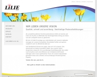 Bild Lilie Energie GmbH