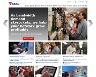 Bild Tellabs Deutschland GmbH