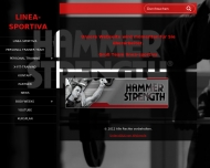 Bild Fitness-Studio 