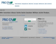 Website PRO DV Consulting