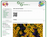 Bild Schmid-Schewior Fahrschule