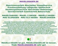 Bild Mauelshagen Finanz u. Leasingvermittlung