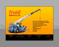 Bild Troidl GmbH & Co. KG